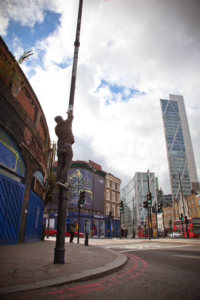 Shep - lampost IMG_4363