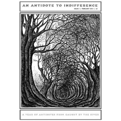 Antidote 5 cover-500x500