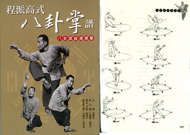 Gao baguazhang manual