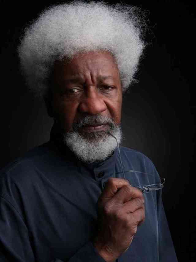 Wole Soyinka by Glen Gratty