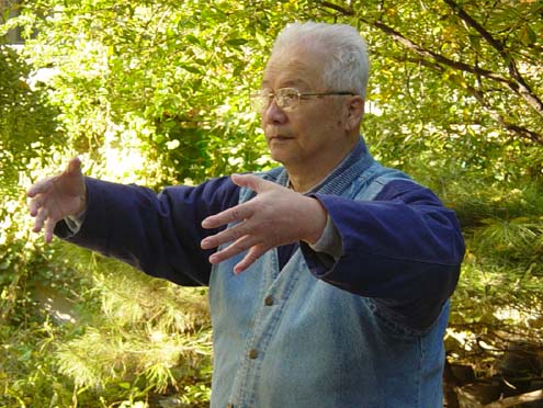 Dr Yu Yongnian - Yi Quan master.